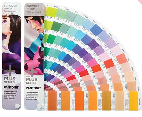 La guida di formula dei campioni di colore di Pantone di rotocalcografia ha ricoperto/non rivestito